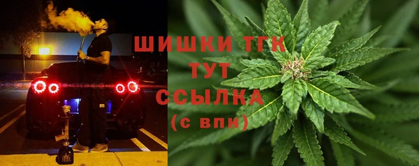 дмт Алексин