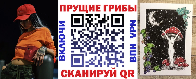 магазин    Хадыженск  Псилоцибиновые грибы MAGIC MUSHROOMS 